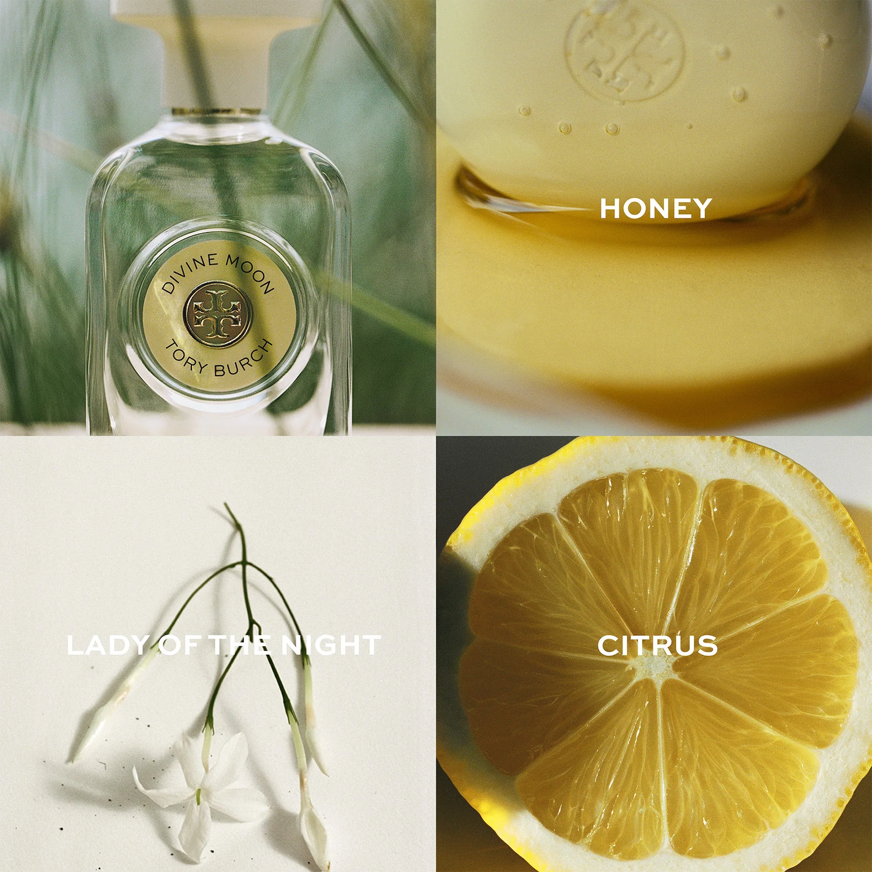 Divine Moon Eau de Parfum by Tory Burch - Image 3