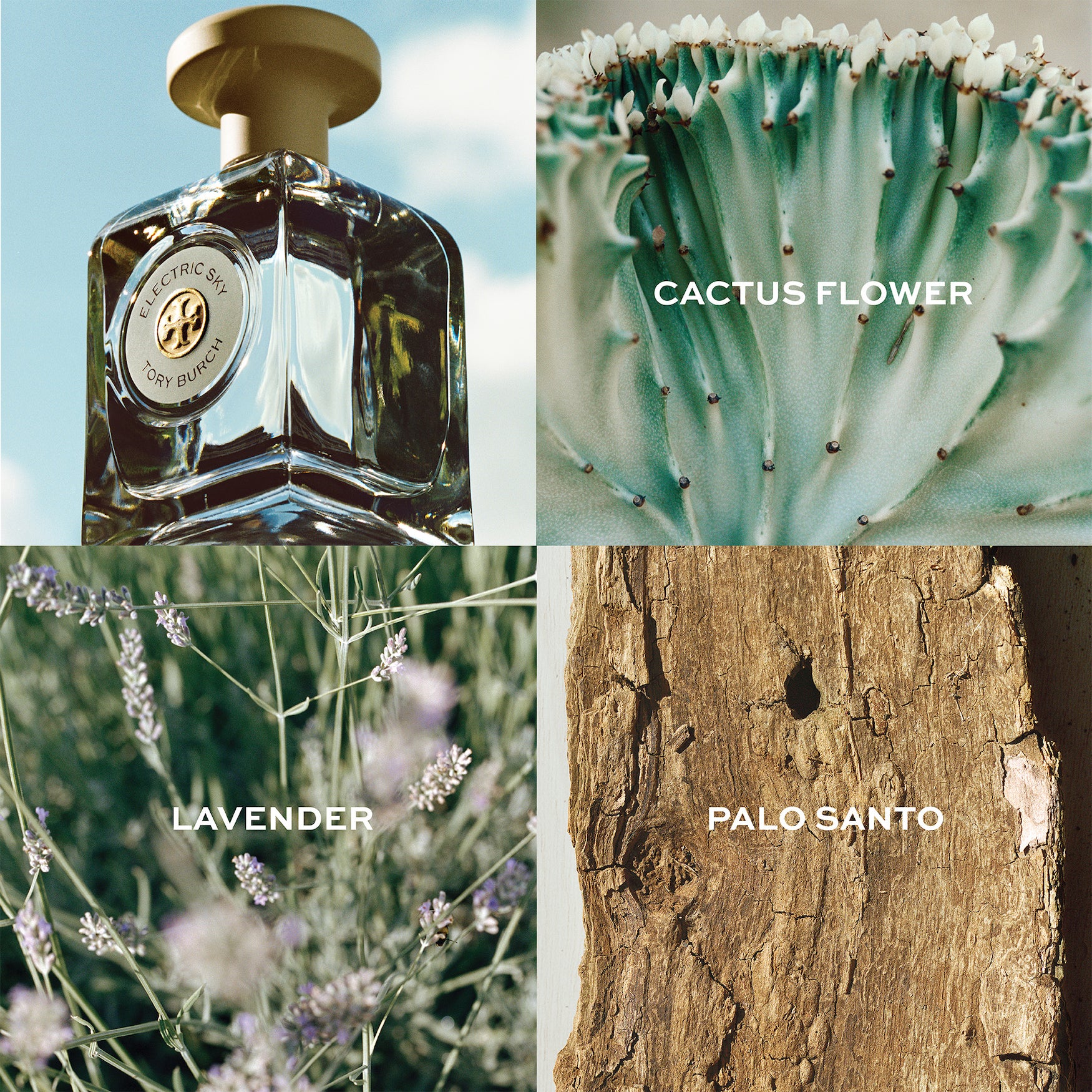 ELECTRIC SKY Eau de Parfum by Tory Burch - Image 3