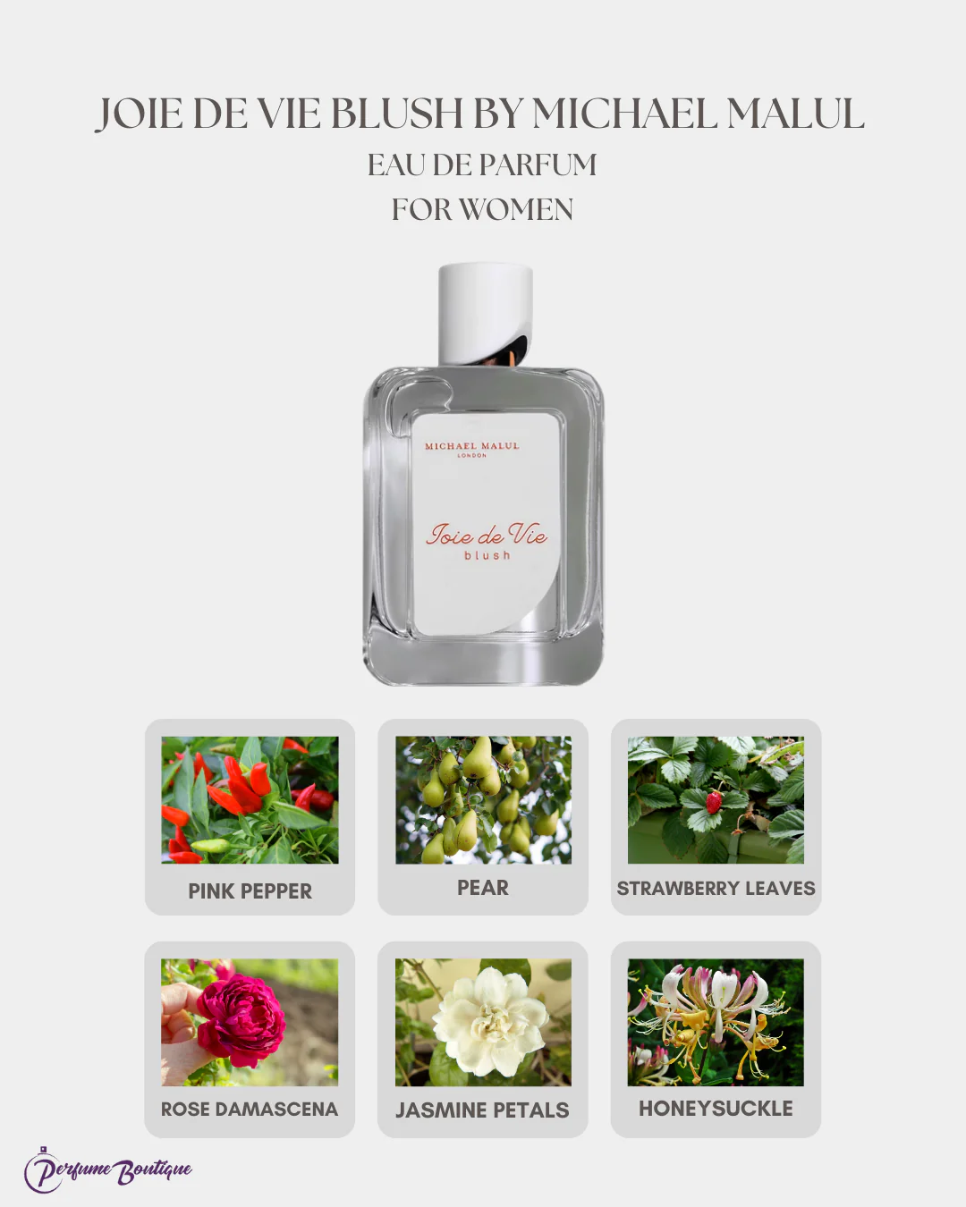 Joie de Vie Blush Eau de Parfum GIFT SET by Michael Malul - Image 2