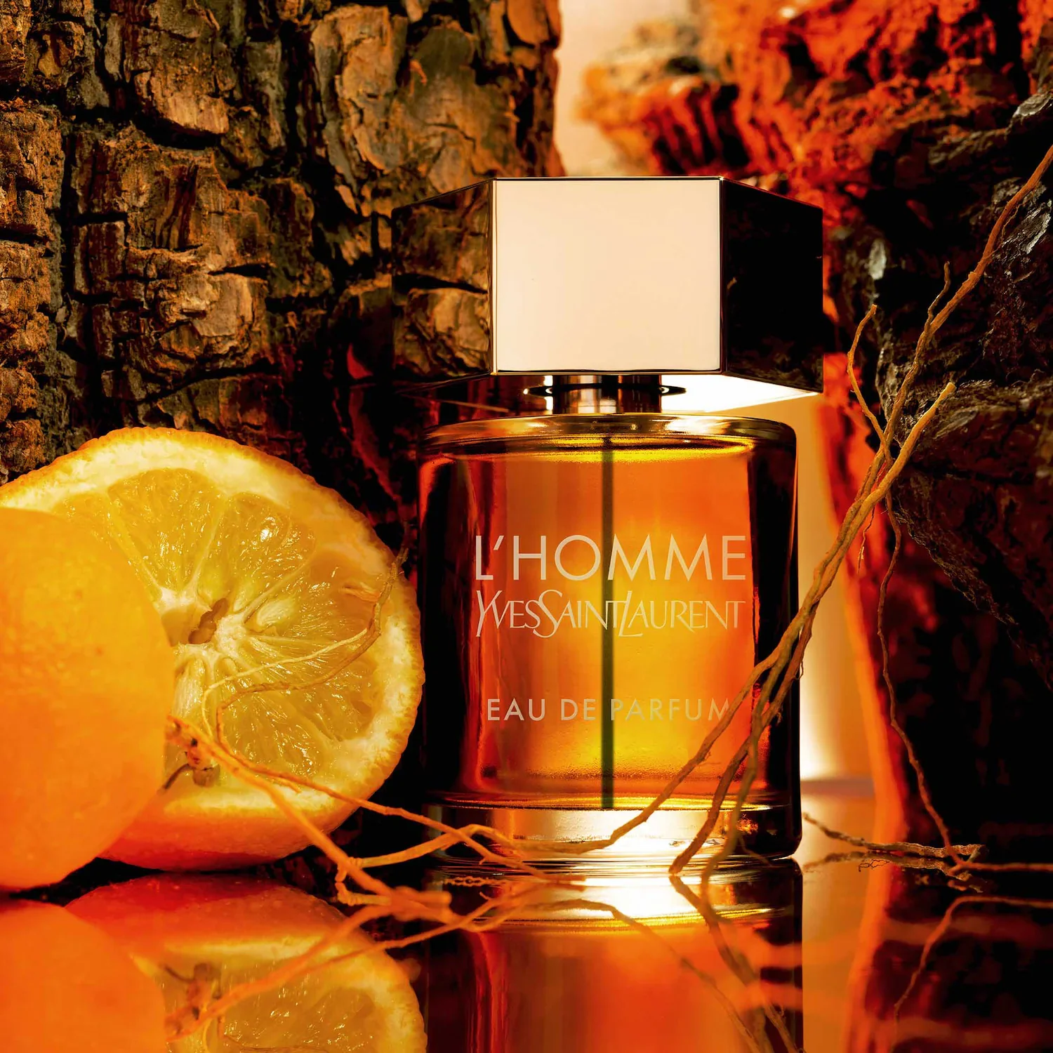 L'Homme Eau de Parfum by Yves Saint Laurent - Image 3