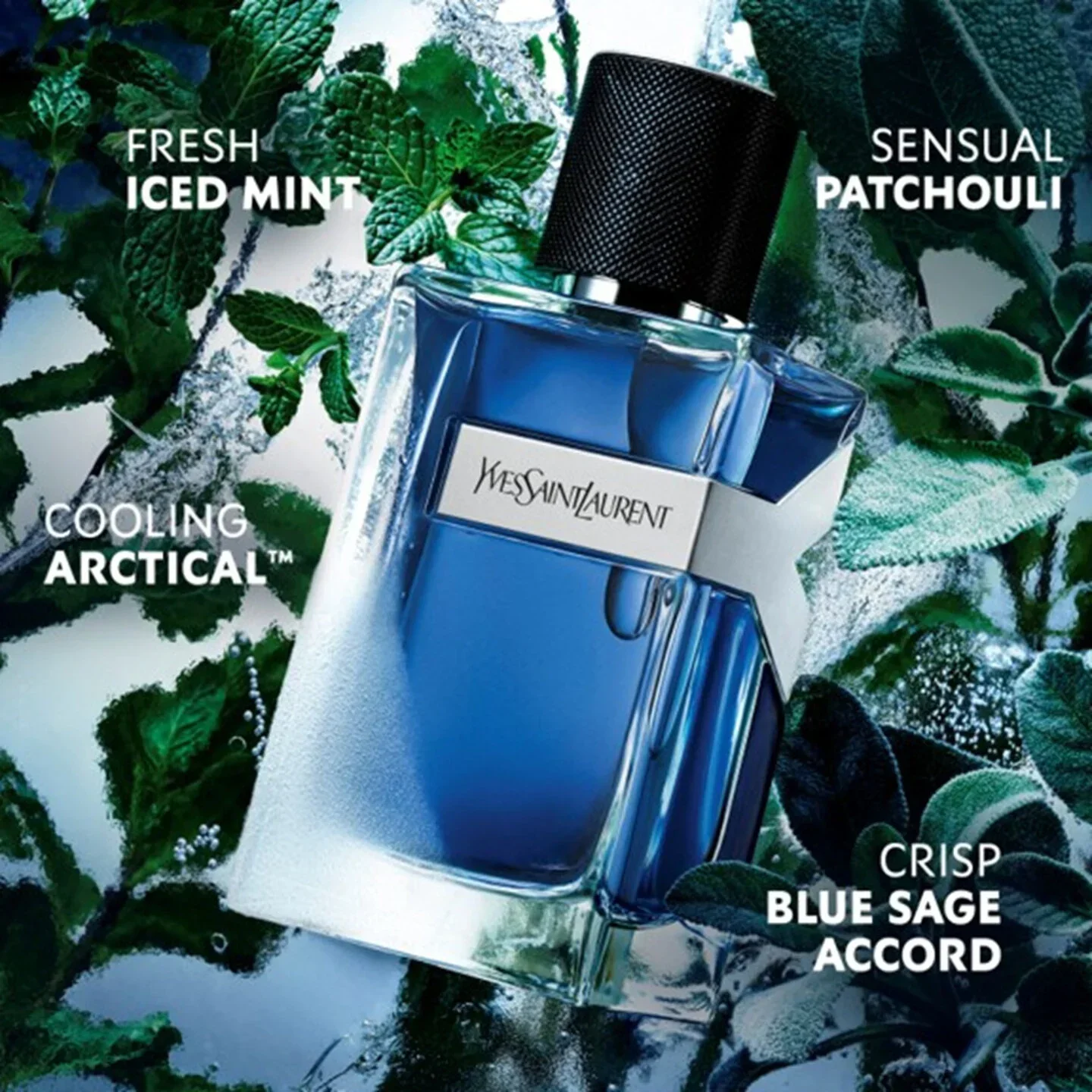 Y Iced Cologne Eau de Toilette Intense by Yves Saint Laurent - Image 2